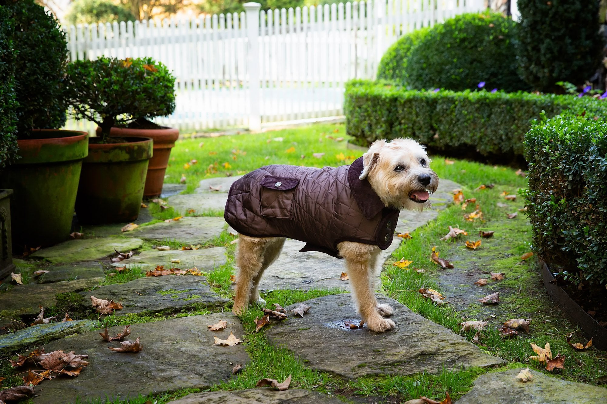 Brown Barn Coat with Brown Corduroy Collar