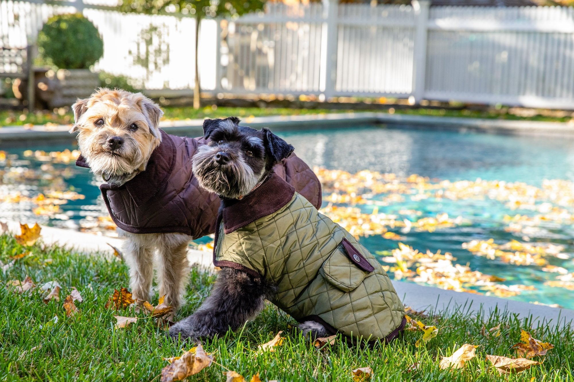 Brown Barn Coat with Brown Corduroy Collar