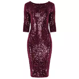 Claret Wine Red Velour Sequin Wiggle Dress