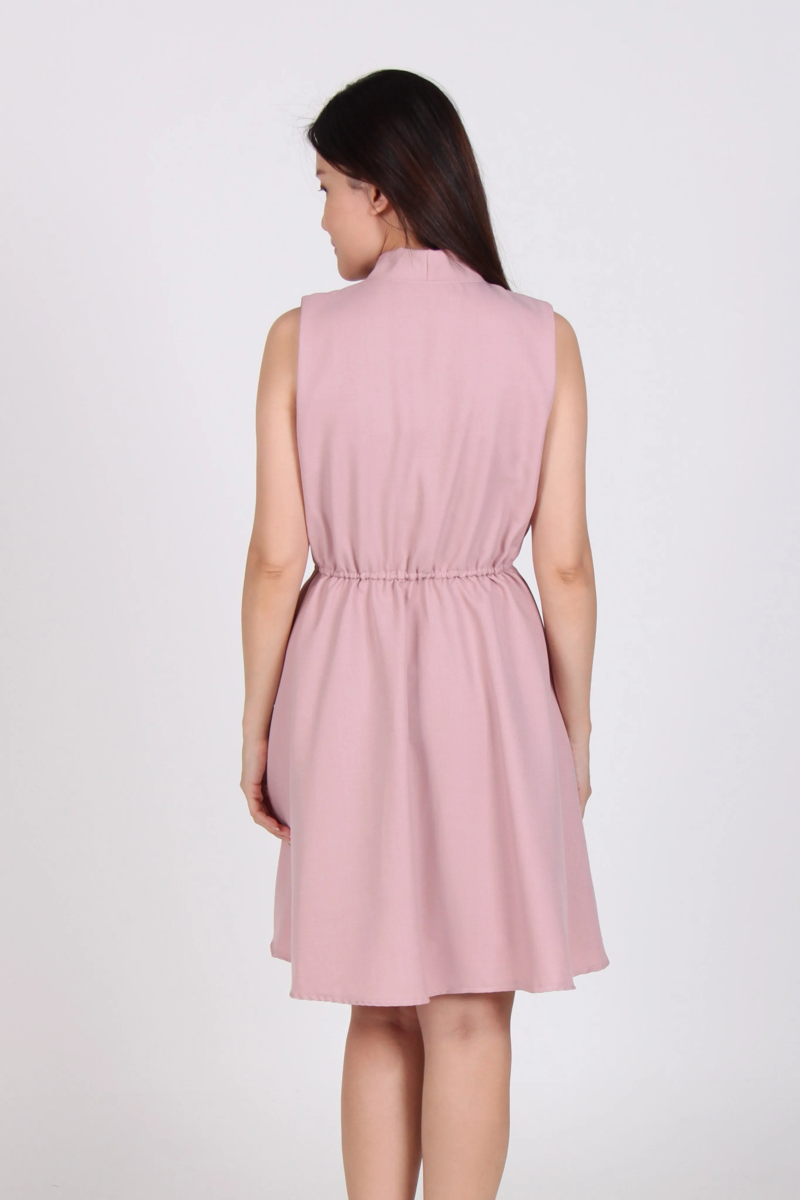 Collar Tie Skater Dress in Pink