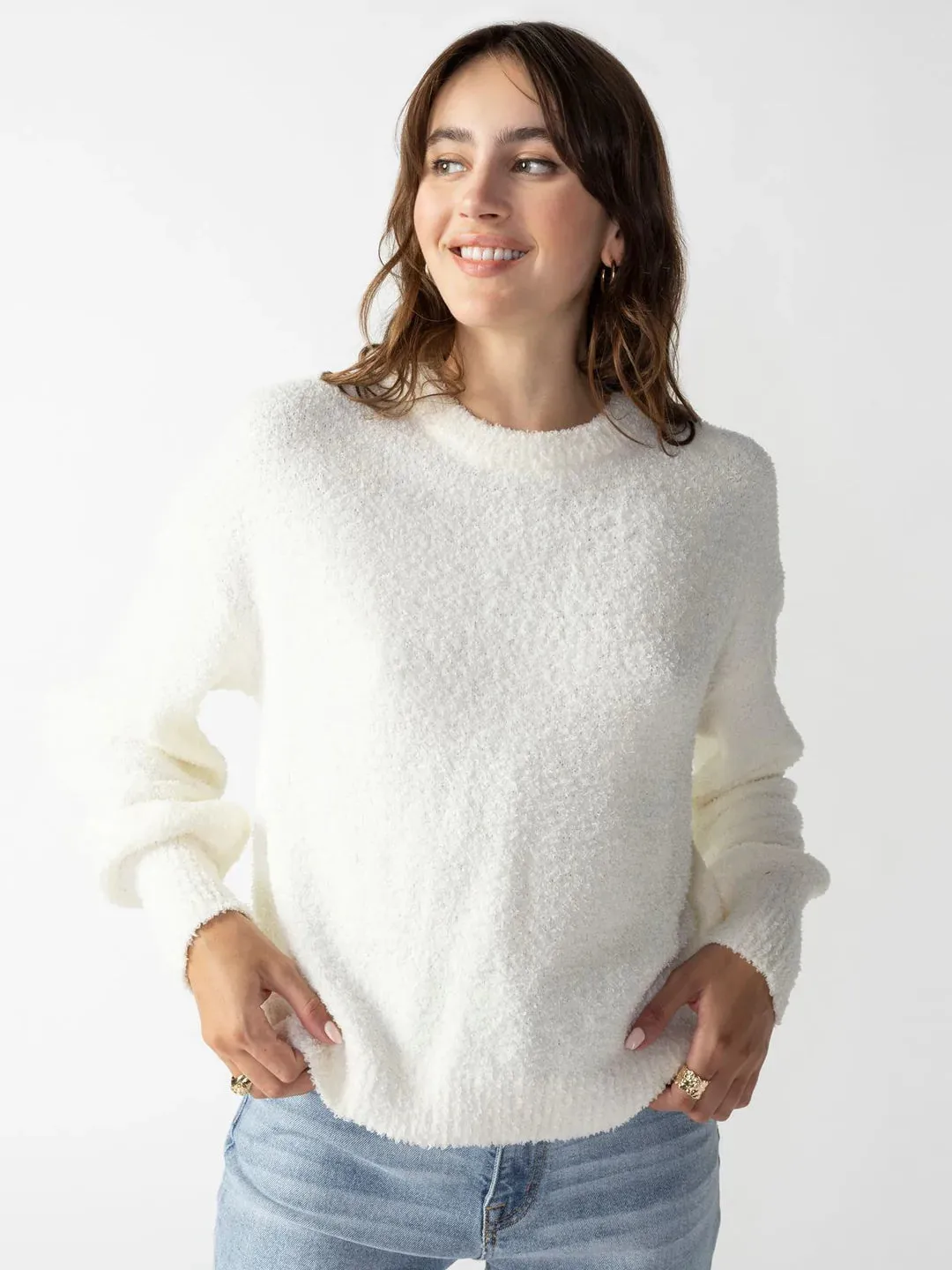 Plush Volume Sleeve Sweater