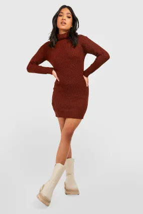 Recycled Petite Turtleneck Sweater Dress