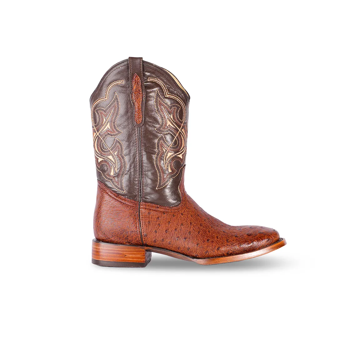 Texas Country Western Boot Bull Dog Avestruz Tabaco Stoe E4700