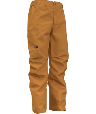 The North Face Freedom Snow Pant - Men's