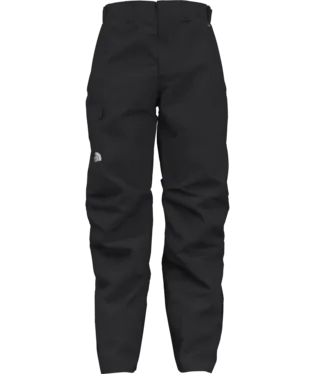 The North Face Freedom Snow Pant - Men's