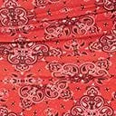 Unique Vintage Plus Size Red Bandana Print Alice Swim Skirt